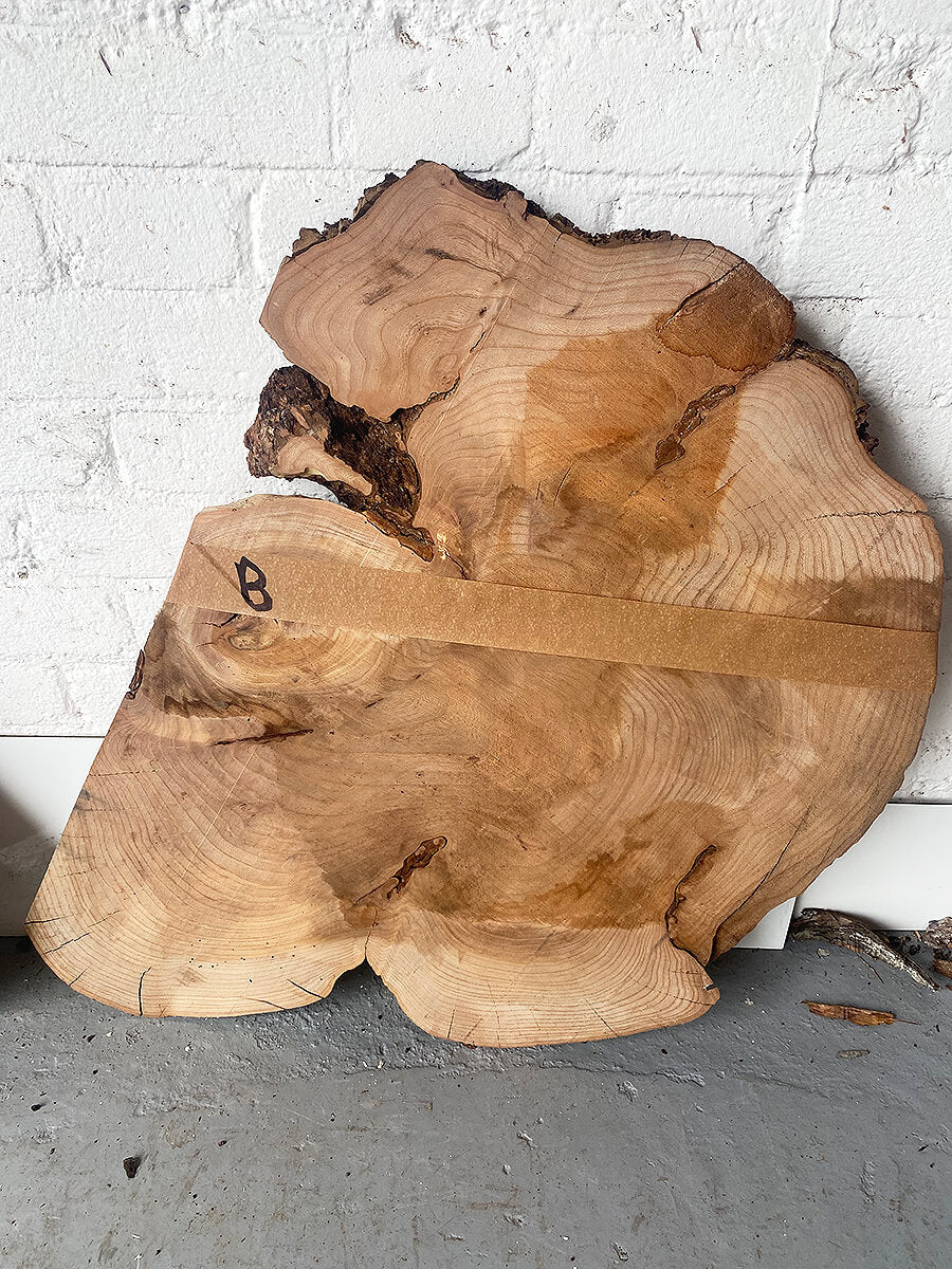 Elm - Live Edge Cookie