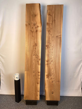 Elm - Pippy Boards
