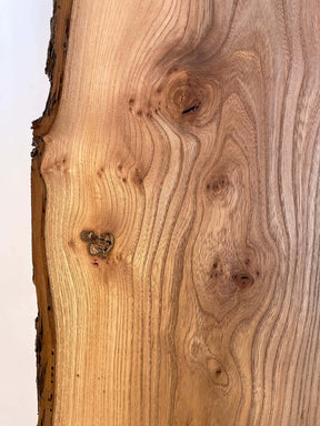 Elm - Pippy Boards