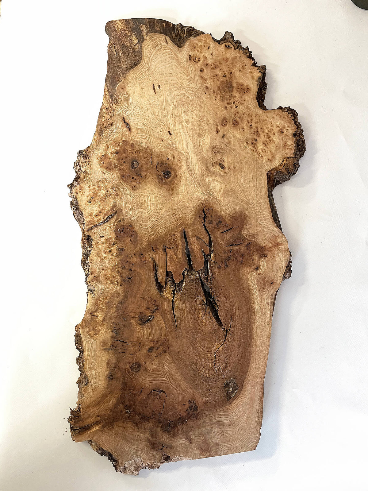 Elm - Pippy Burr Board