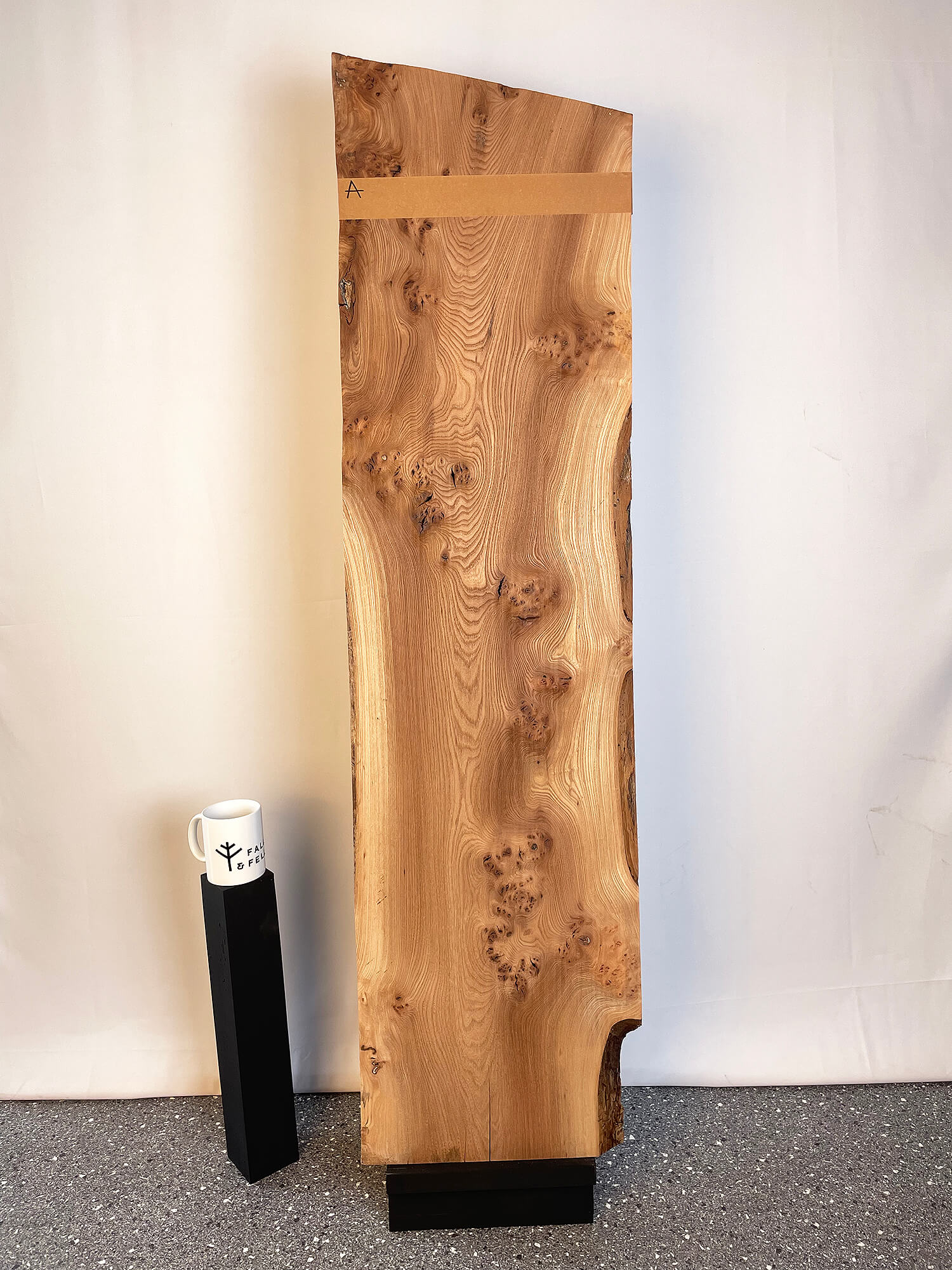 Elm - Pippy Burr Board