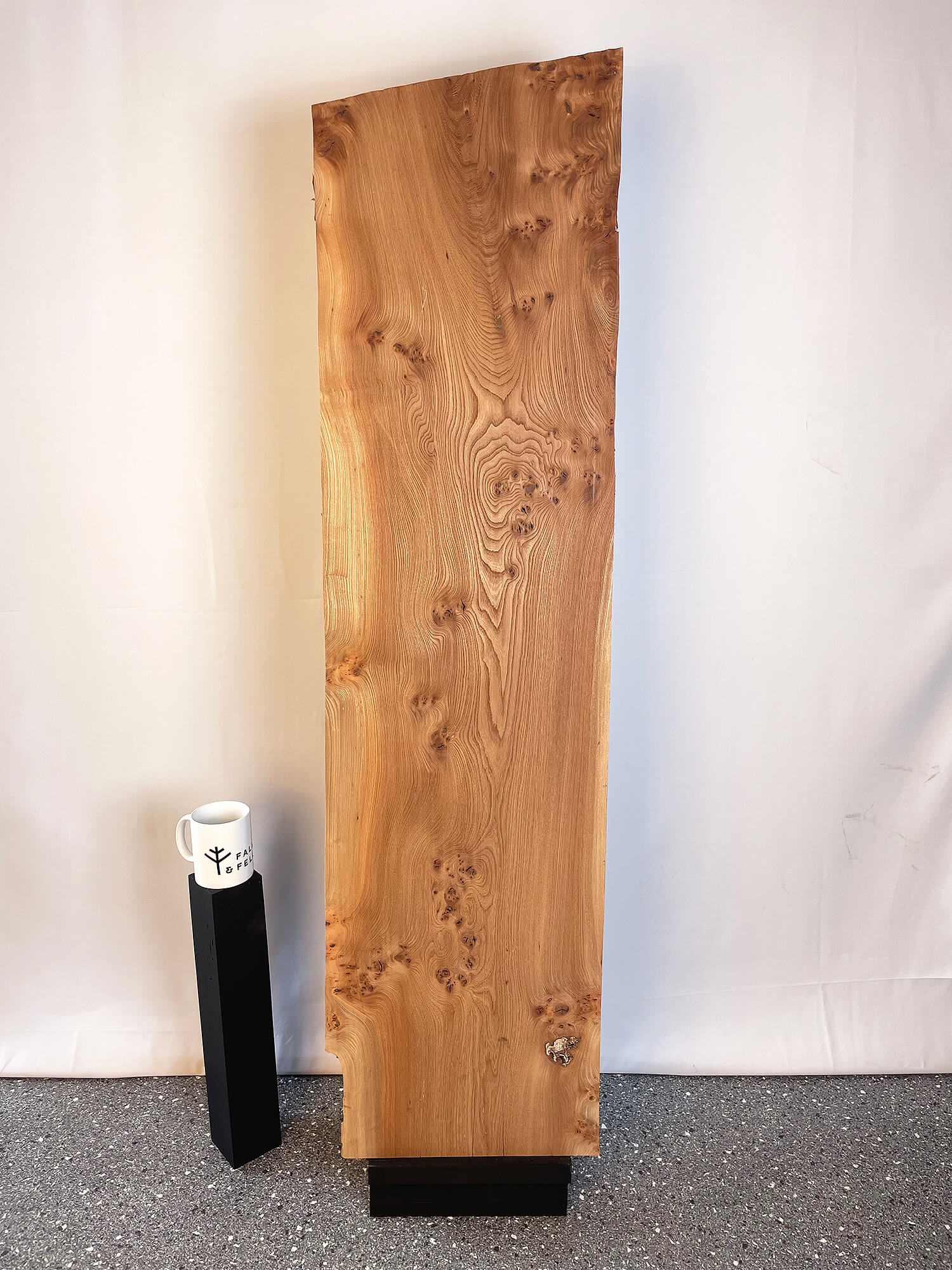 Elm - Pippy Burr Board