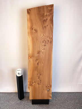 Elm - Pippy Burr Board