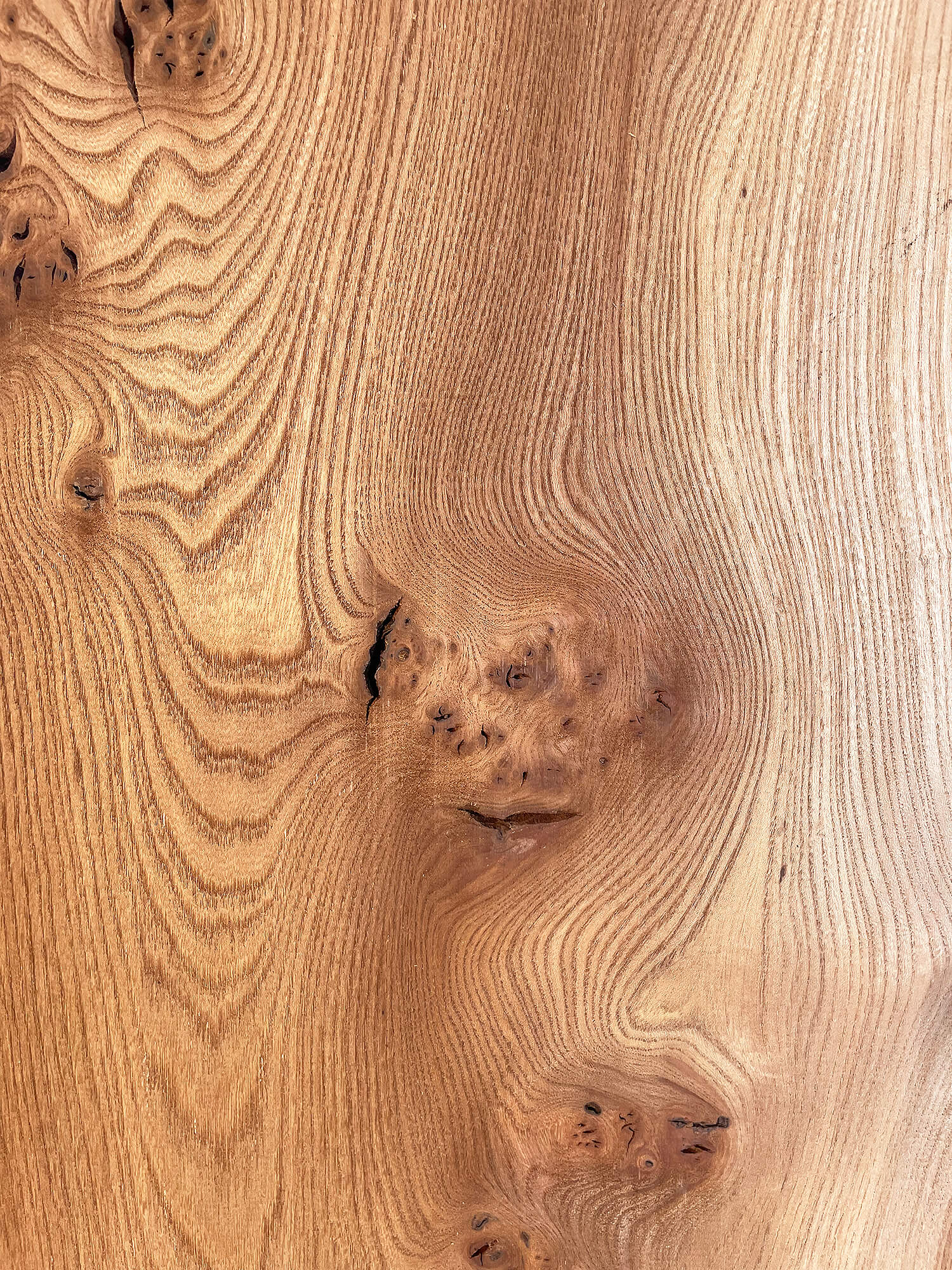 Elm - Pippy Burr Board