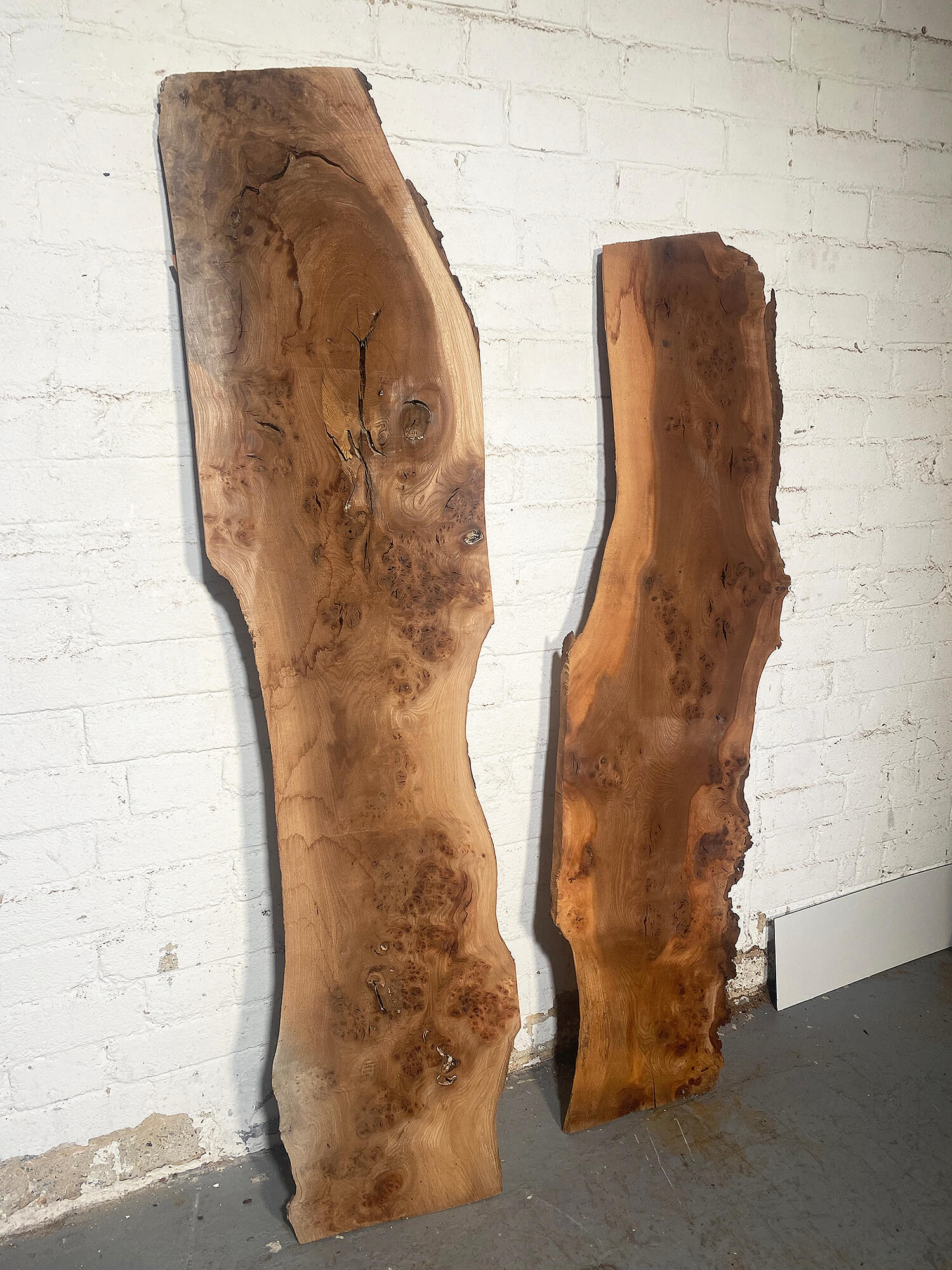 Elm - Pippy Burr Boards