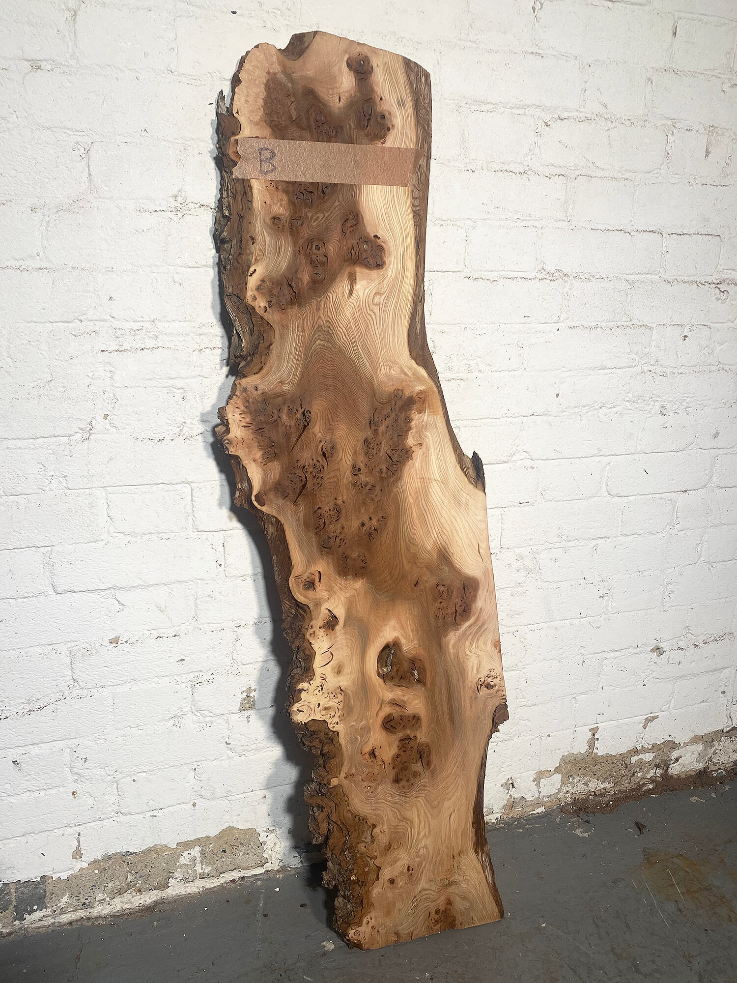 Elm - Pippy Burr Boards