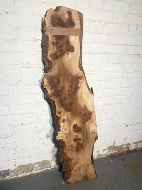 Elm - Pippy Burr Boards