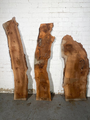 Elm - Pippy Burr Boards