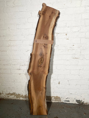 Elm - Pippy Burr Boards