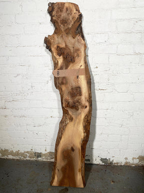 Elm - Pippy Burr Boards