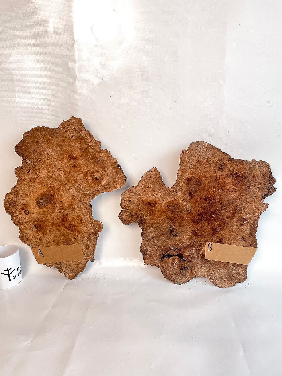 Elm - Pippy Burr Pair