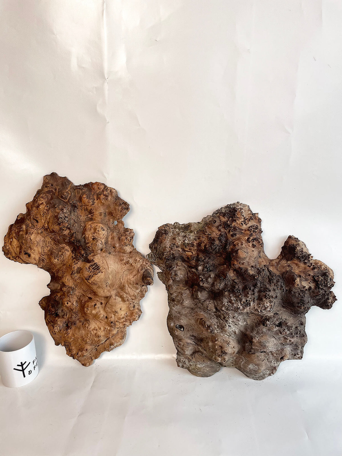 Elm - Pippy Burr Pair