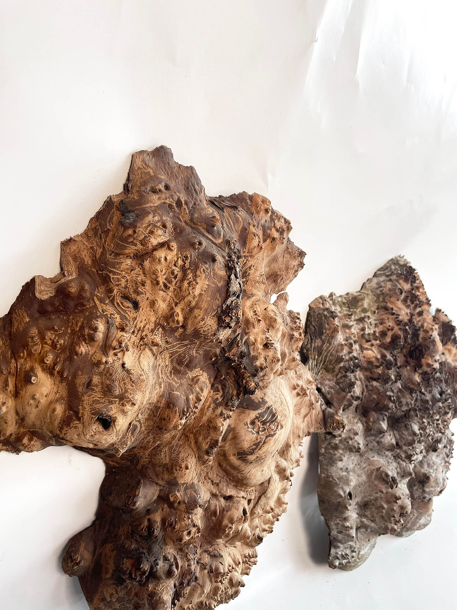 Elm - Pippy Burr Pair
