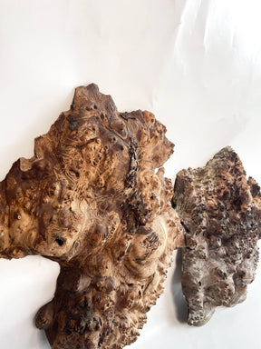 Elm - Pippy Burr Pair
