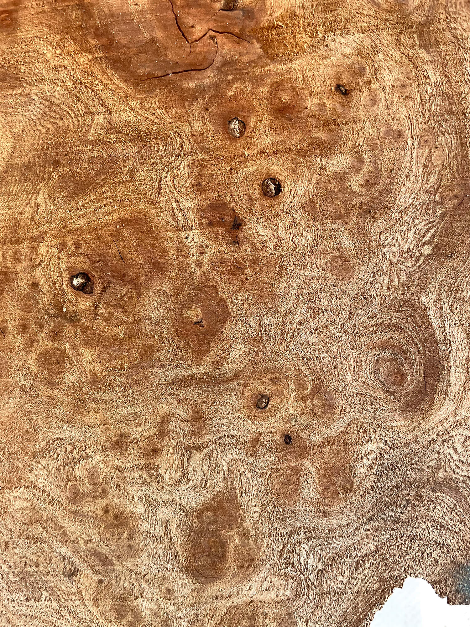Elm - Pippy Burr Pair