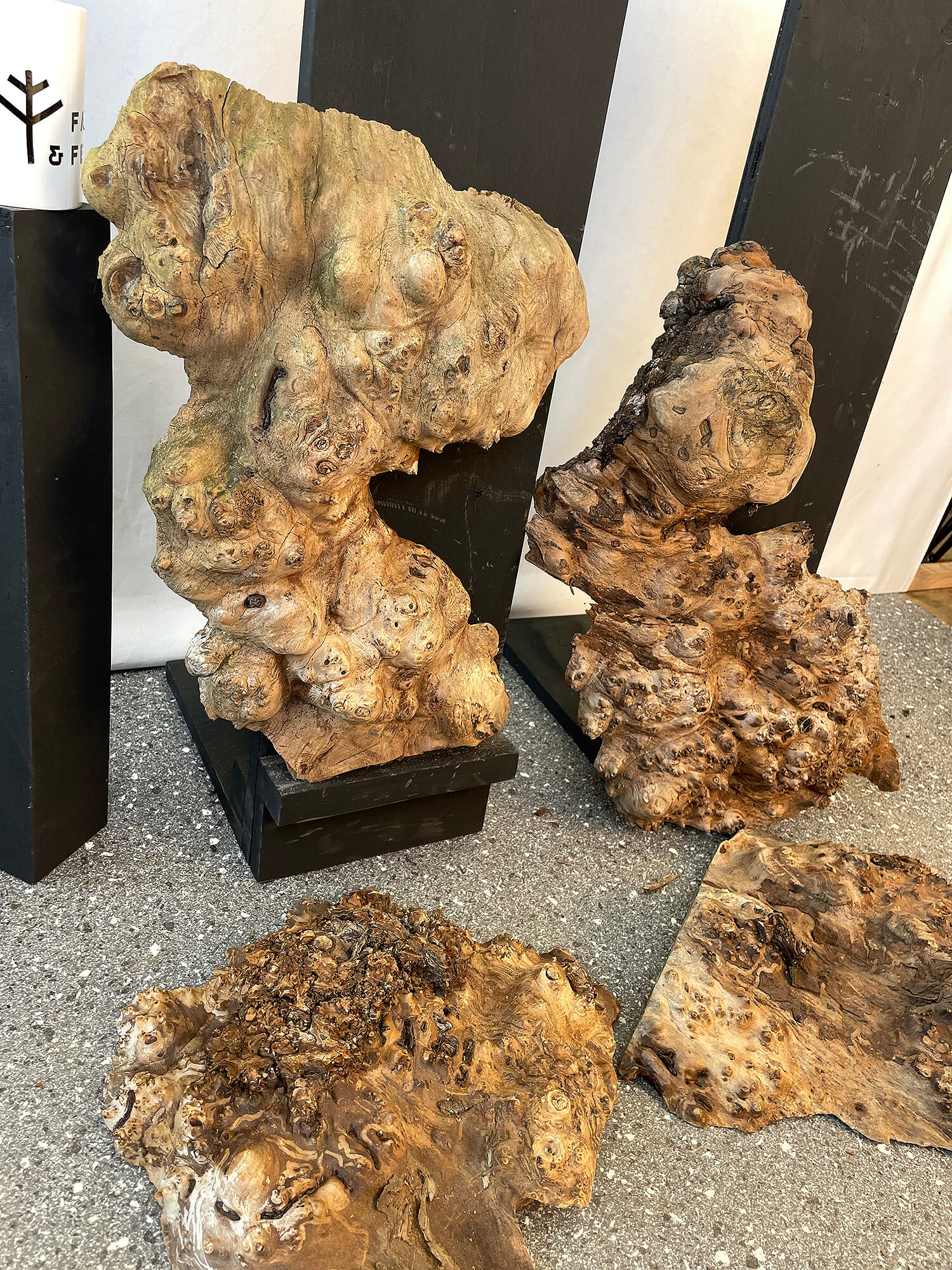 Elm - Rustic Burr Boards (Timber Pack)