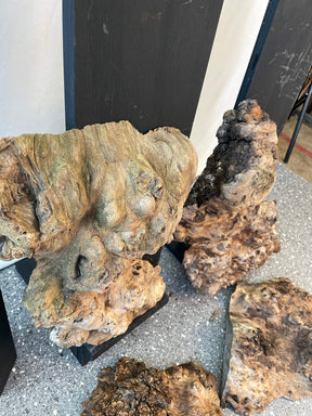 Elm - Rustic Burr Boards (Timber Pack)