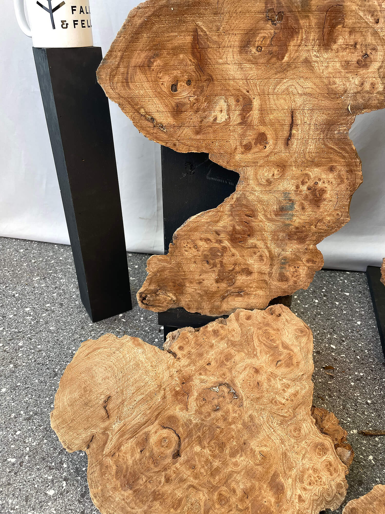 Elm - Rustic Burr Boards (Timber Pack)