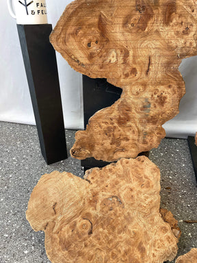 Elm - Rustic Burr Boards (Timber Pack)