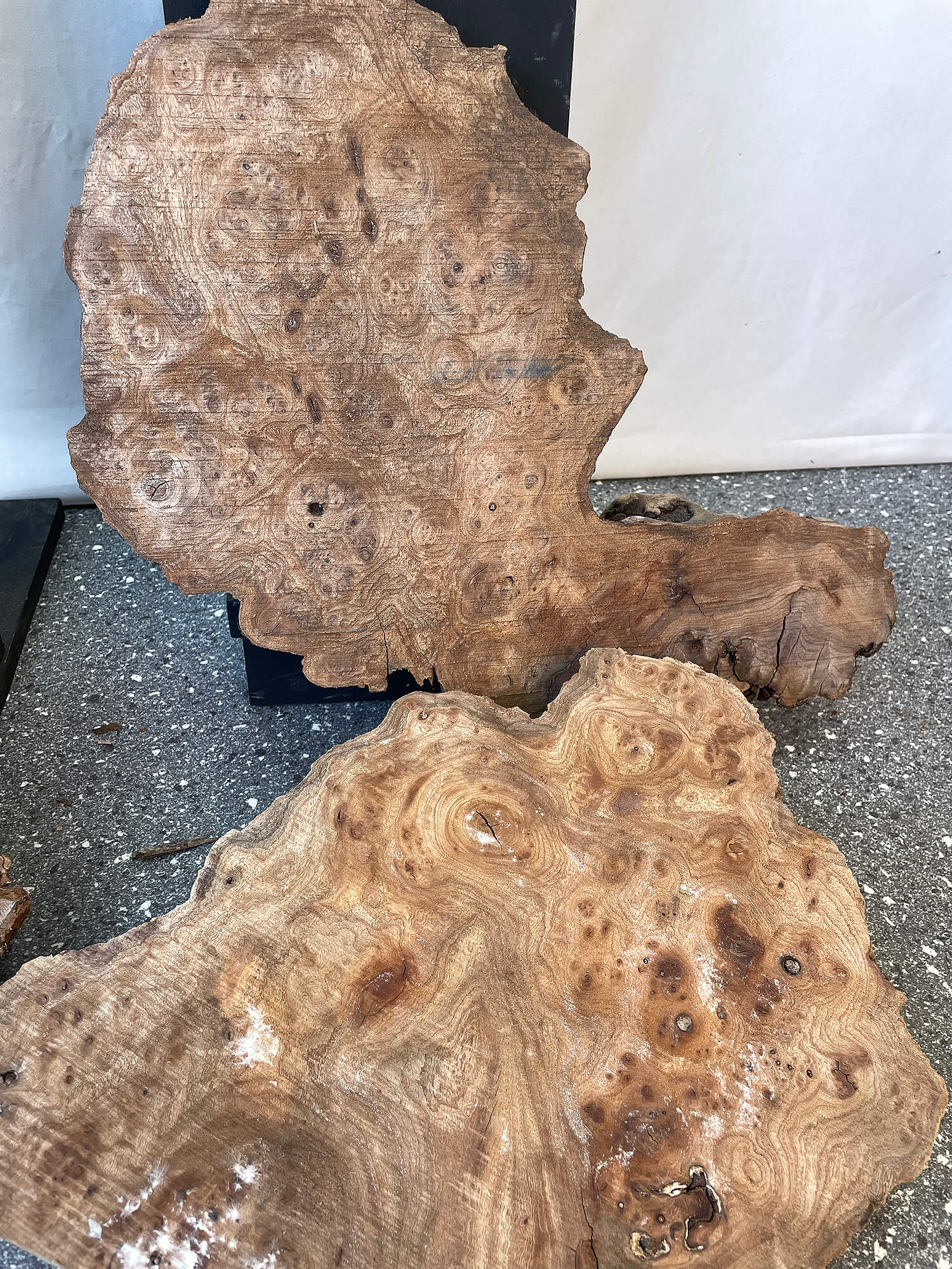 Elm - Rustic Burr Boards (Timber Pack)