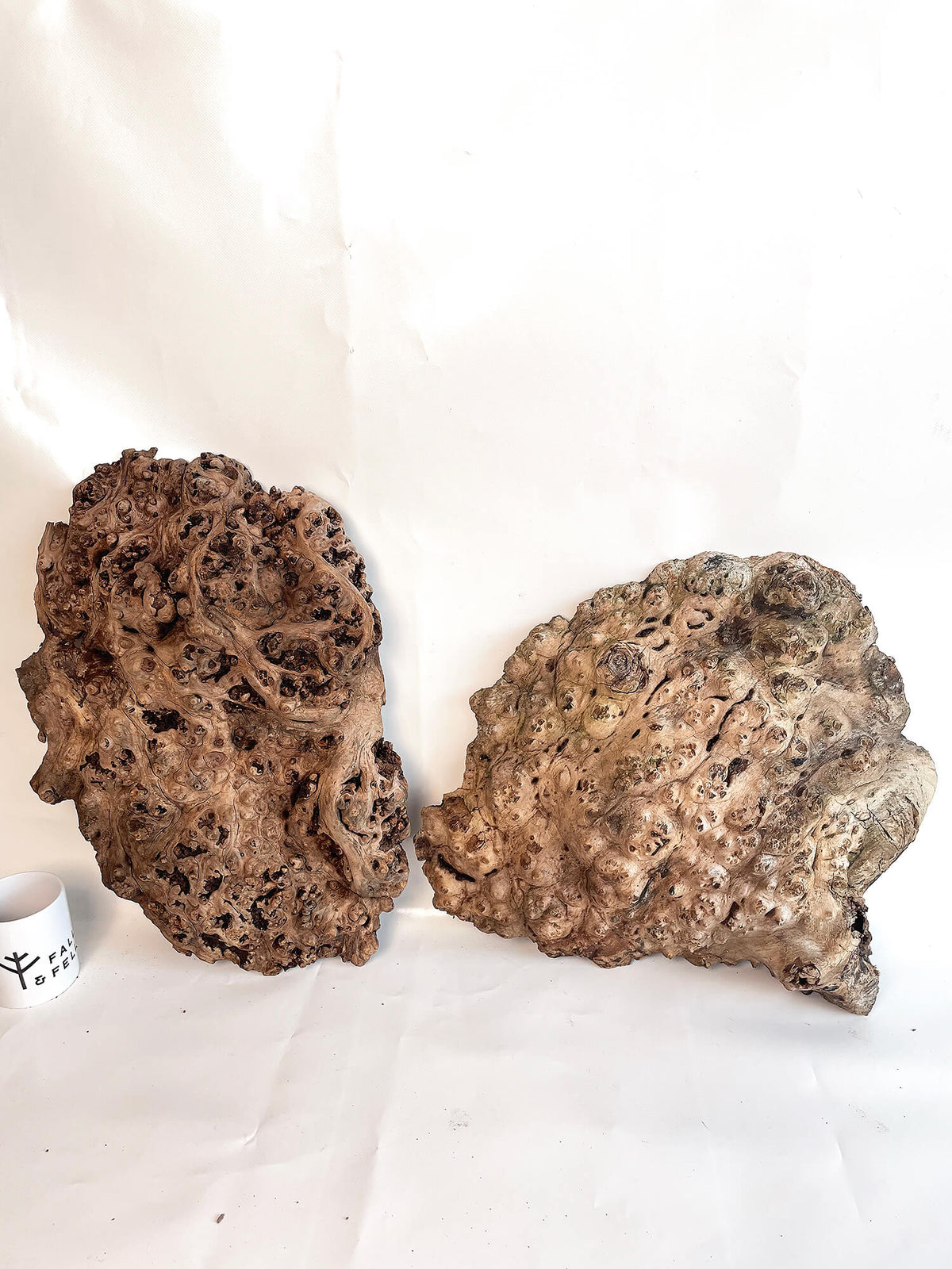 Elm - Rustic Burr Pair