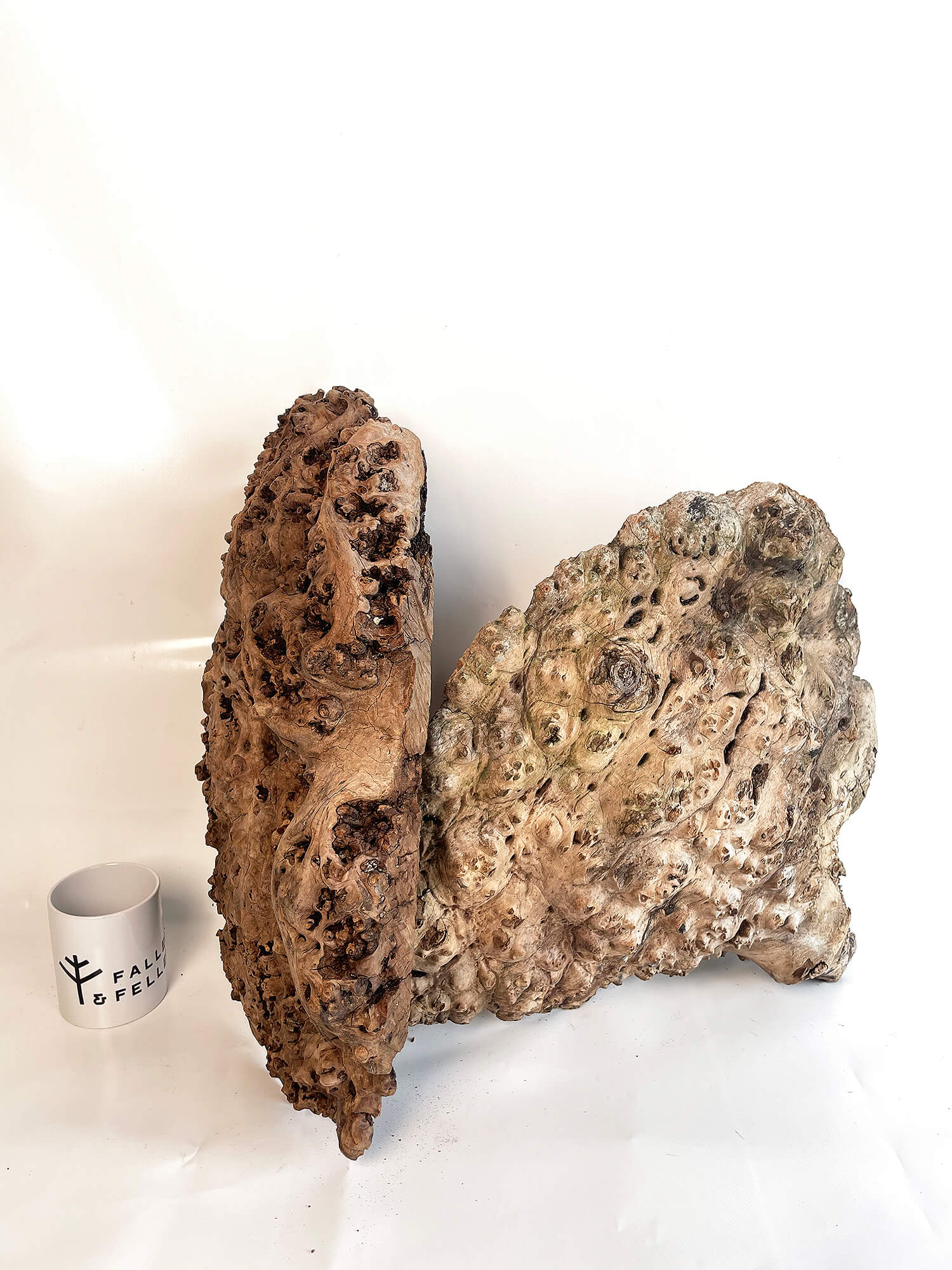 Elm - Rustic Burr Pair