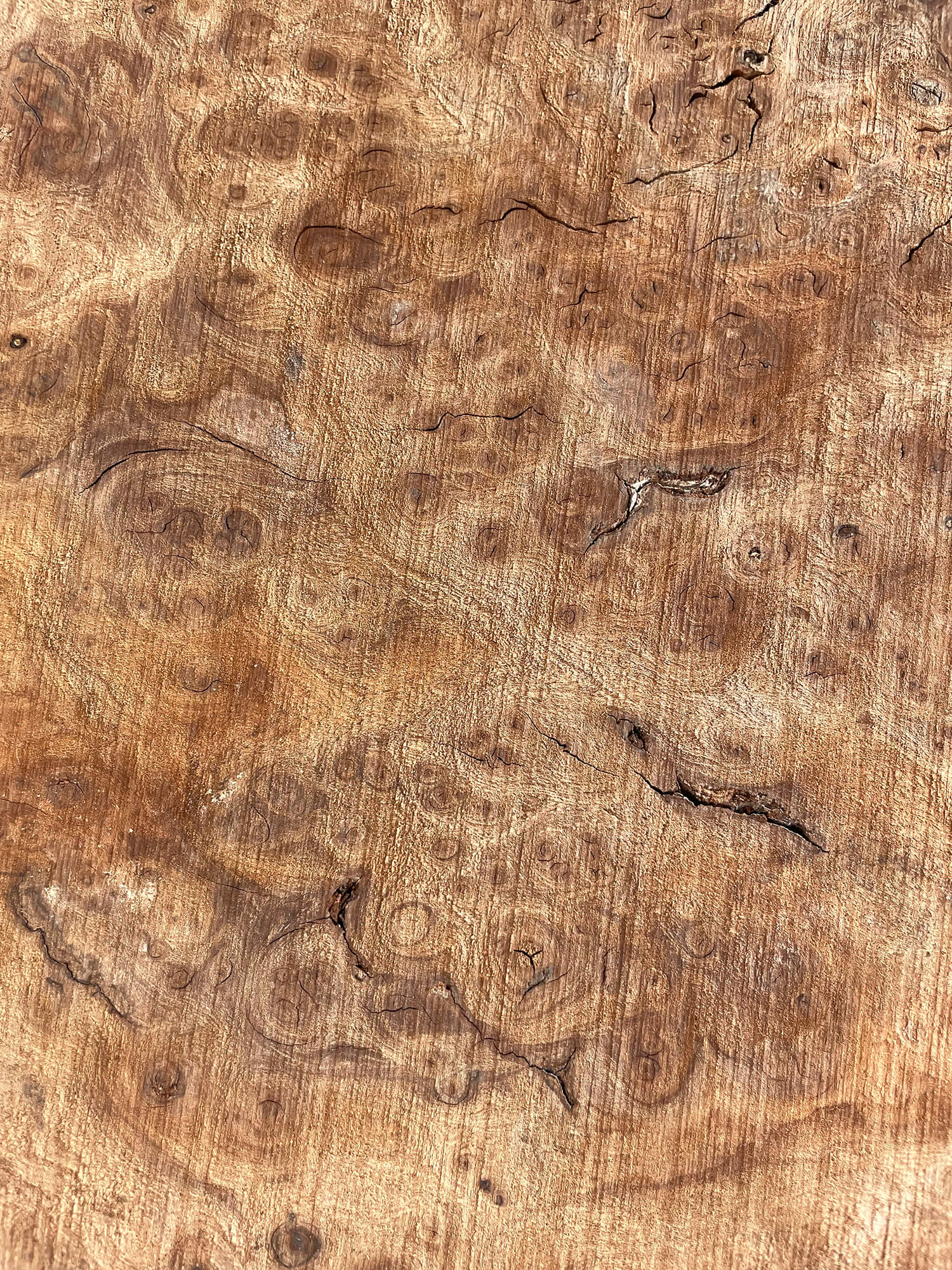 Elm - Rustic Burr Pair
