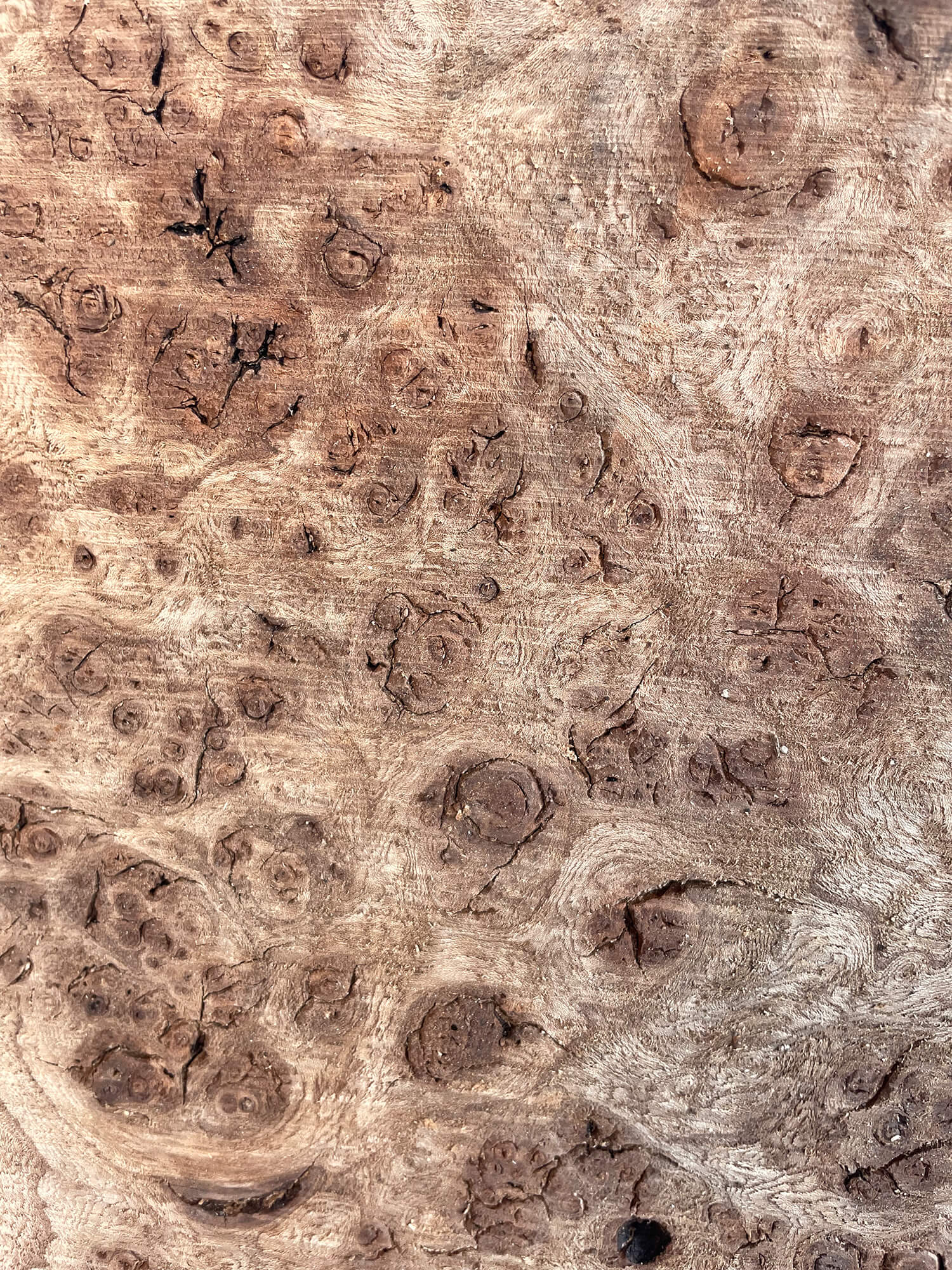 Elm - Rustic Burr Pair