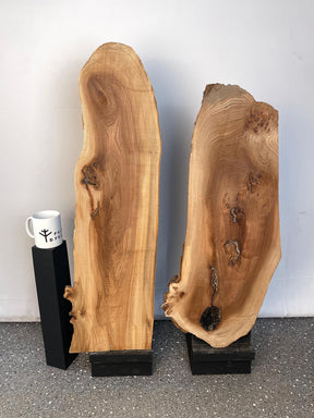 Elm - Rustic Pair