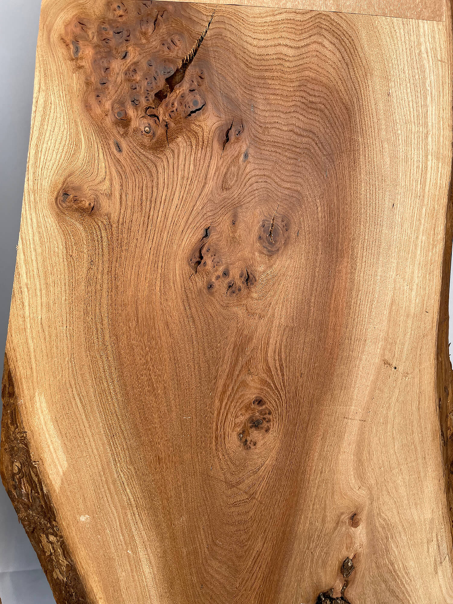 Elm - Rustic Pair
