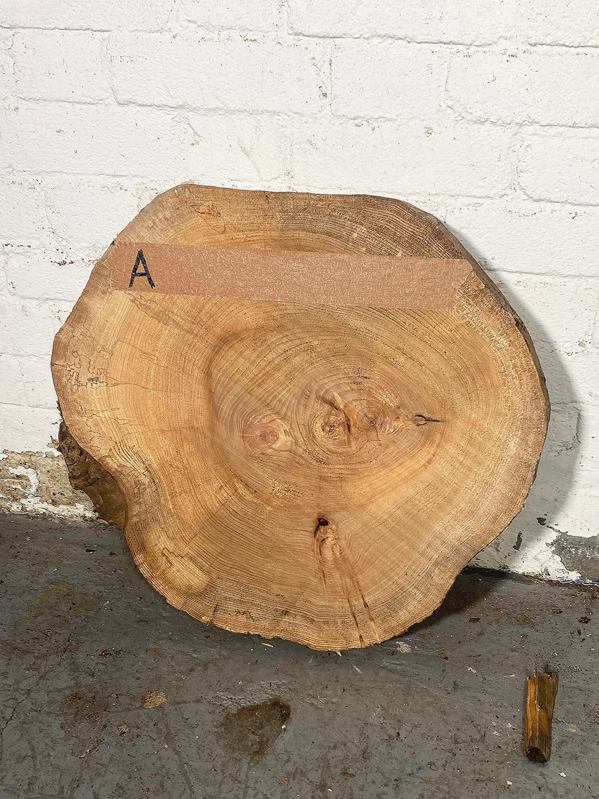 Elm - Spalted Cookie