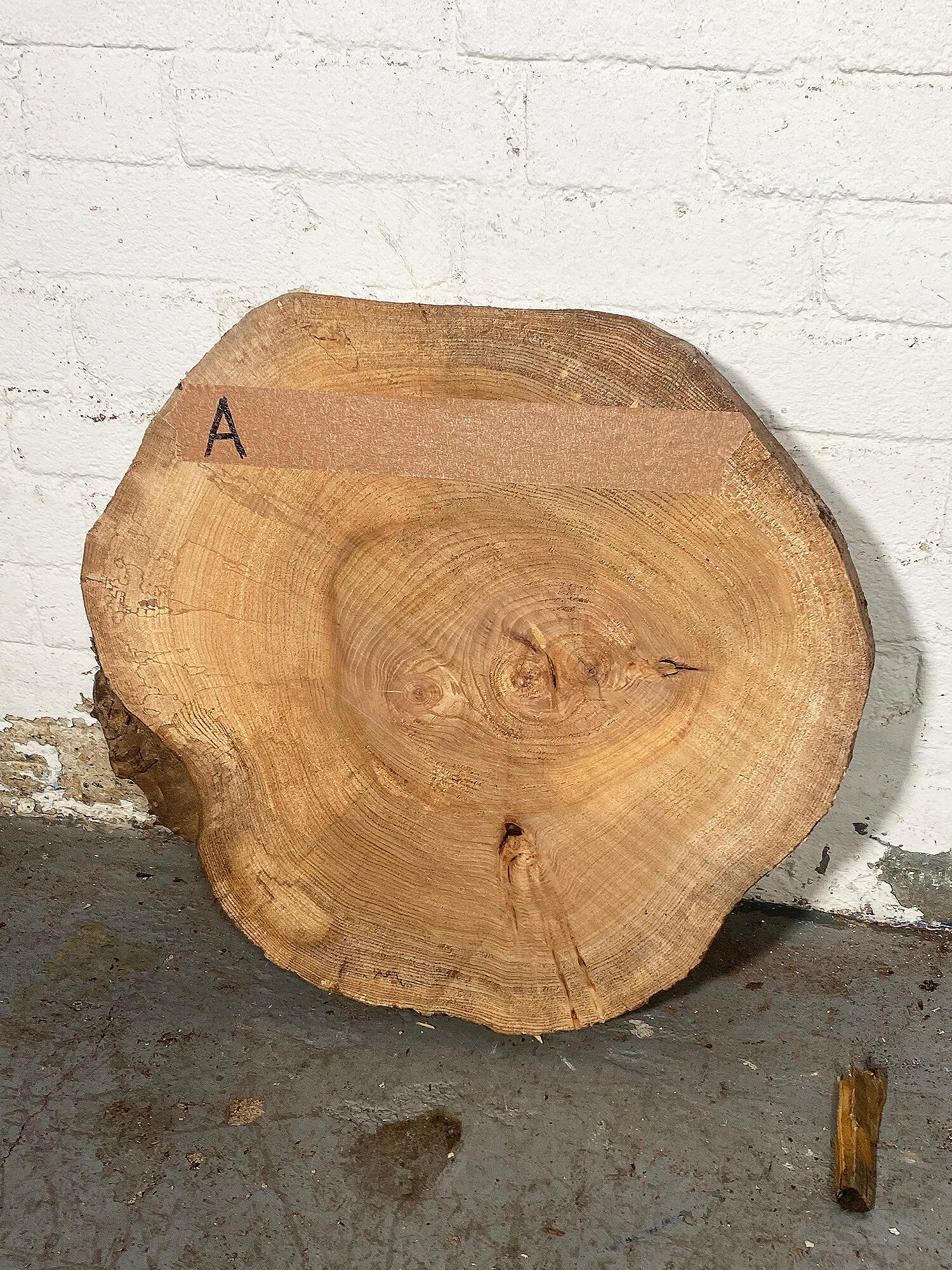 Elm - Spalted Cookie