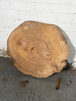 Elm - Spalted Cookie