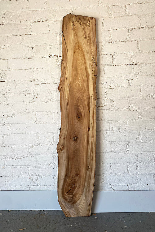 elm-waney-edge-board-from-brighton-kiln-dried-english-timber