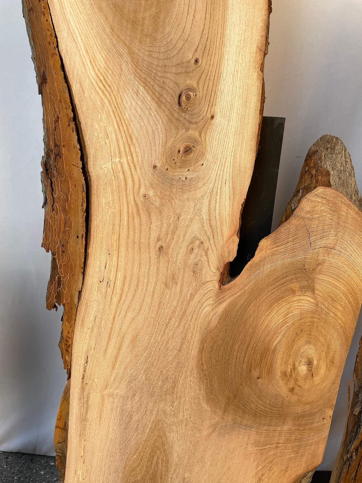 Elm - Waney Edge Boards