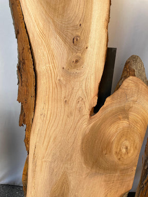 Elm - Waney Edge Boards