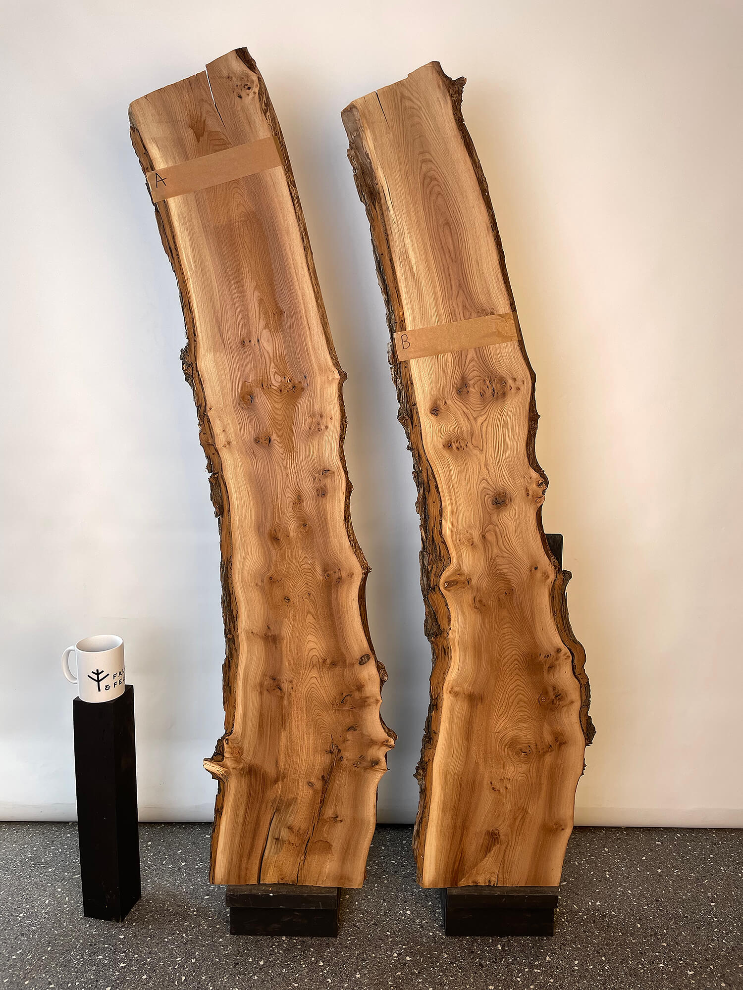 Elm - Waney Edge Boards