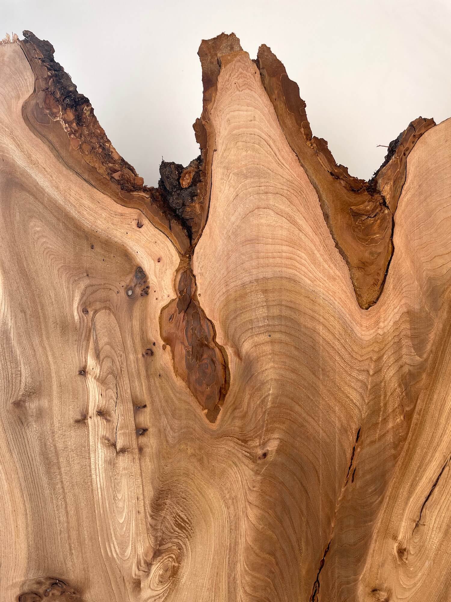 Elm - Waney Edge Boards