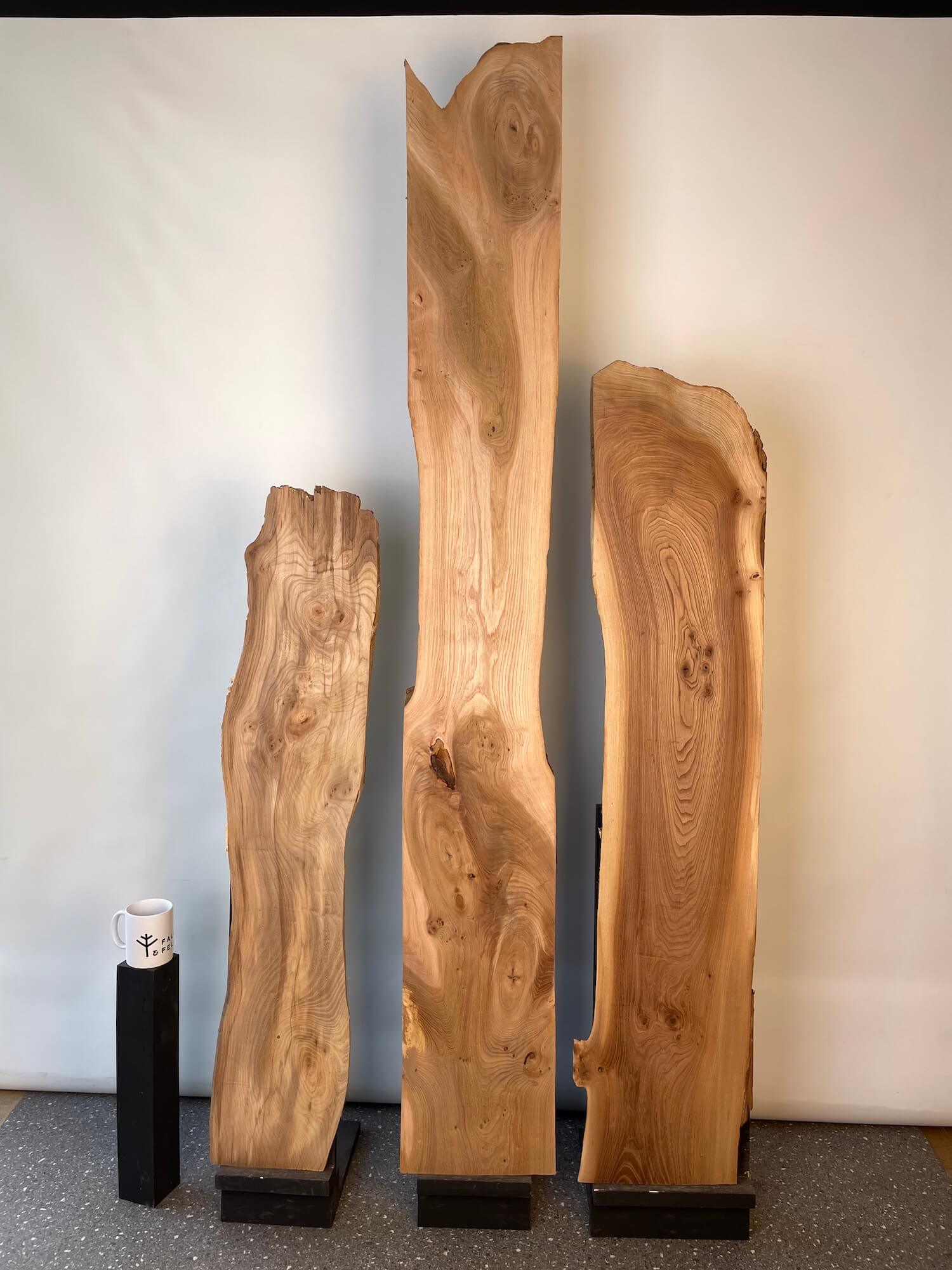 Elm - Waney Edge Boards