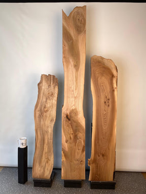 Elm - Waney Edge Boards