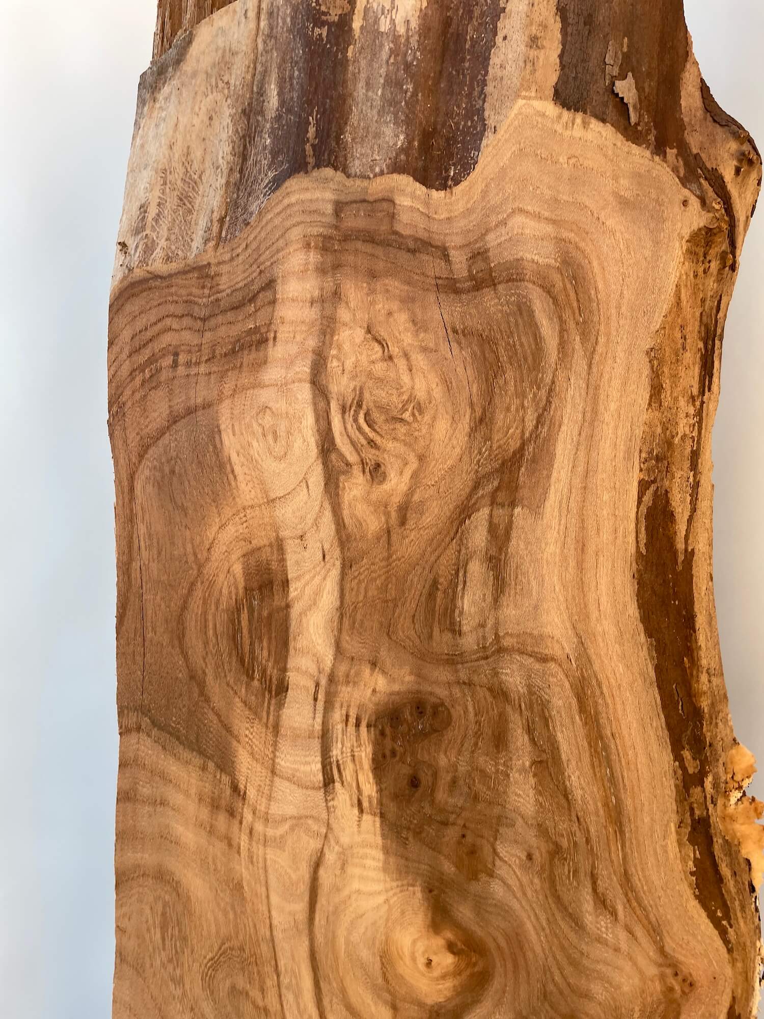 Elm - Waney Edge Boards