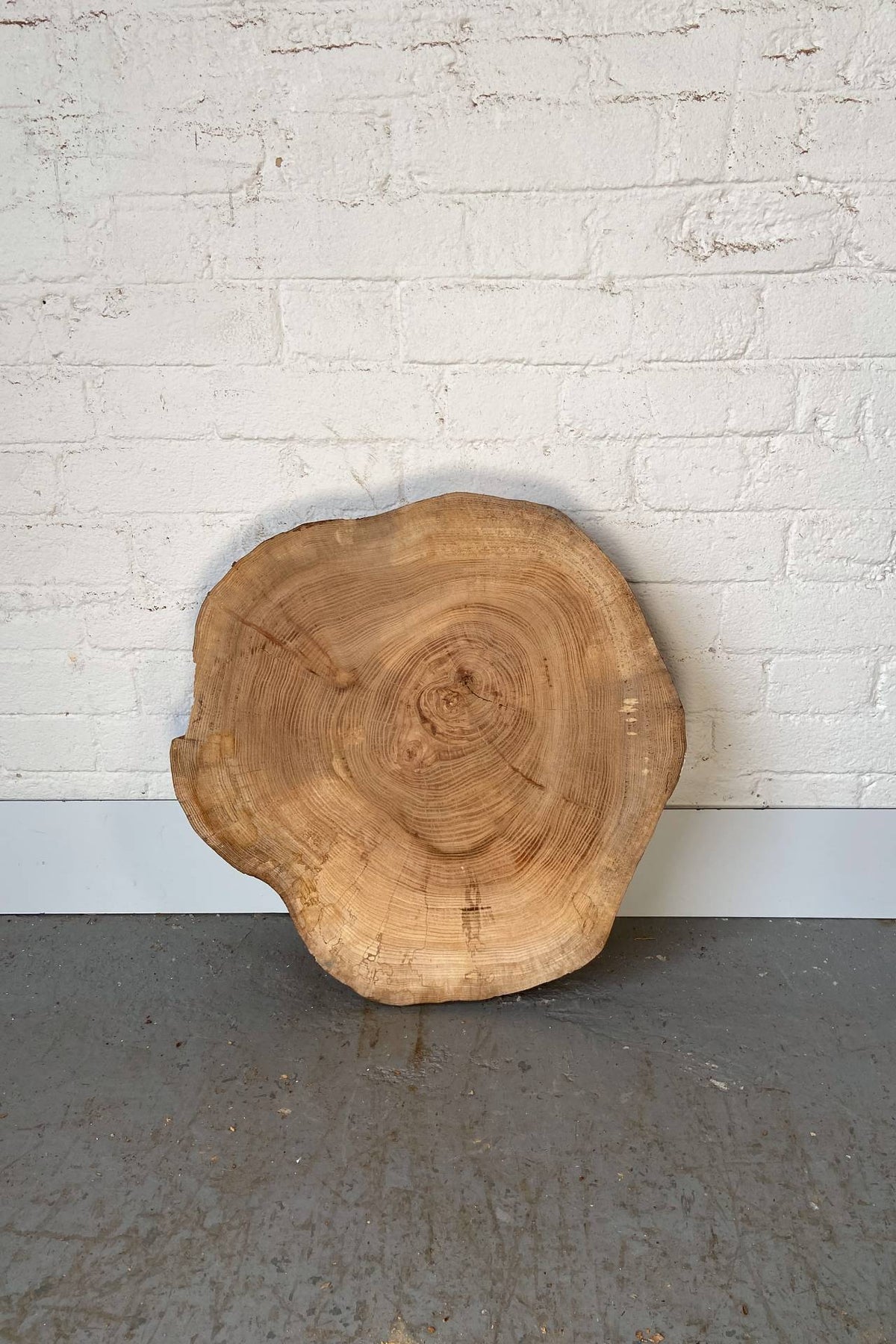 Elm Wood Cookie Slab / Slice