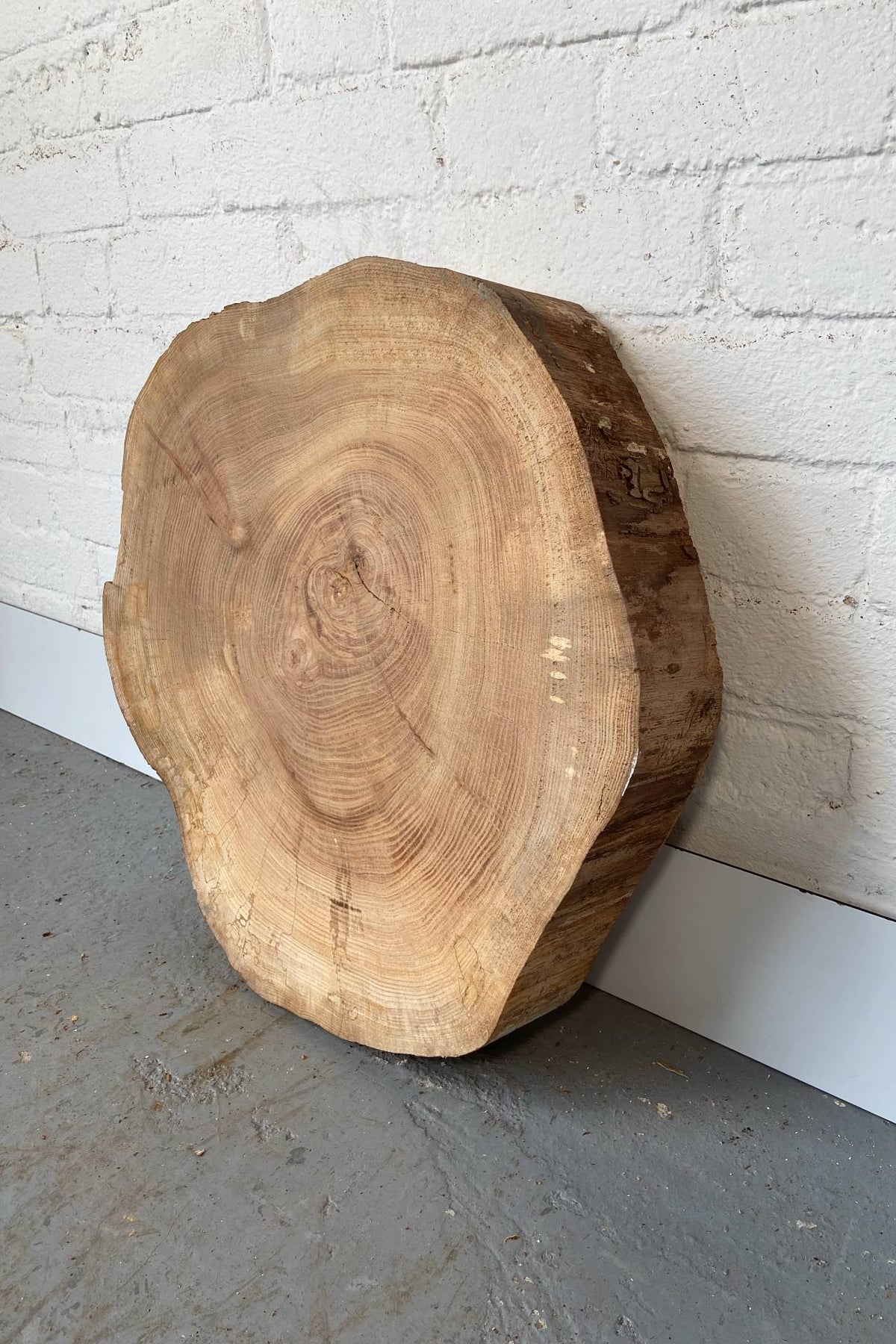 Elm Wood Cookie Slab / Slice