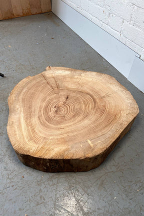 Elm Wood Cookie Slab / Slice