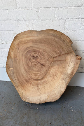 Elm Wood Cookie Slab / Slice