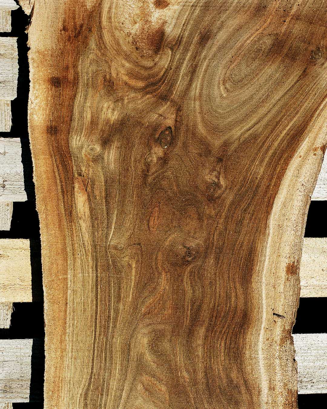 English elm hardwood board with natural grain – Fallen & Felled Essex