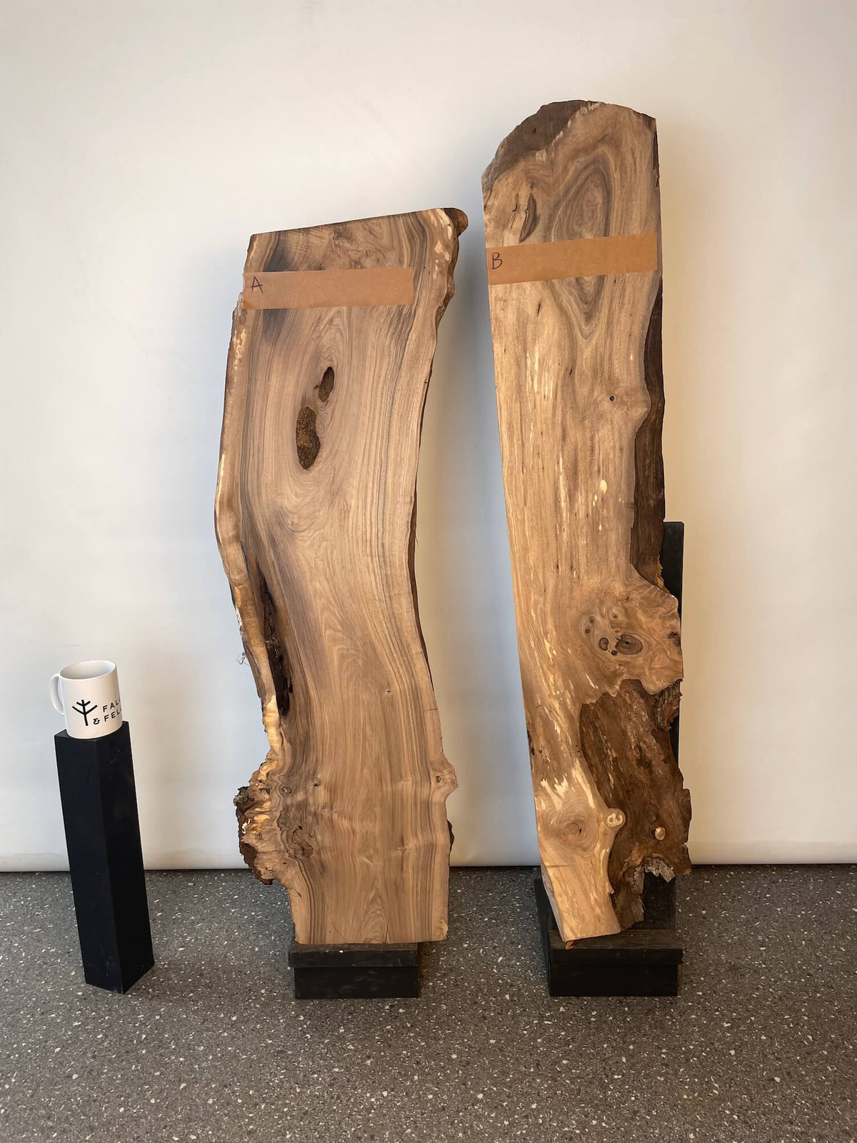 English Walnut - Character Boards