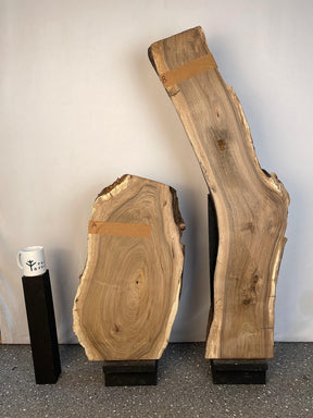 English Walnut - Live Edge Boards