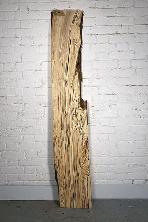 Hornbeam - Spalted Board