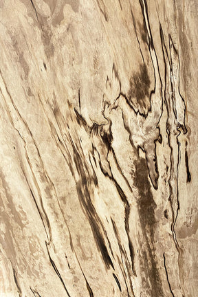 Hornbeam - Spalted Boards